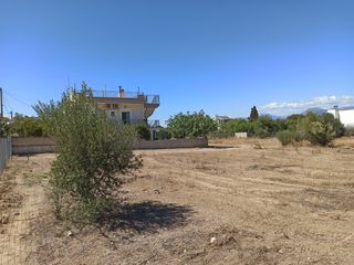 Οικόπεδο 444 τ.μ. πρός πώληση, Αττική - Υπόλοιπο, Αλεποχώρι-thumb-6