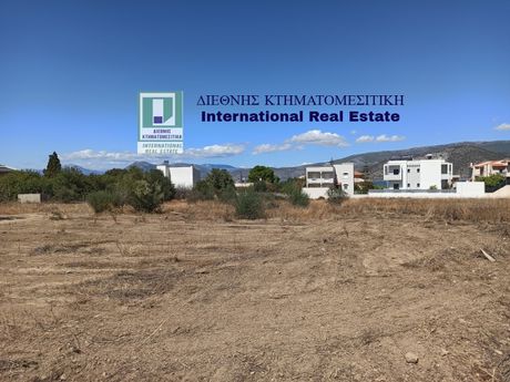 Οικόπεδο 444τ.μ. για πώληση-Αλεποχώρι