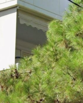 Μονοκατοικία 170τ.μ. για πώληση-Αργυρούπολη » Κέντρο