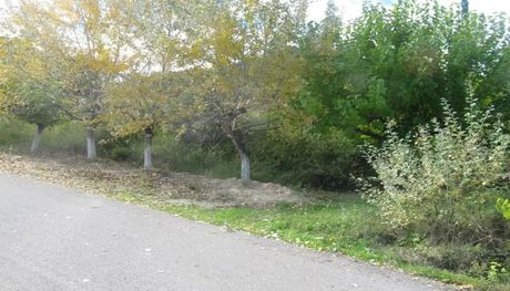 Land plot 1.928sqm for sale-Molos » Anavra