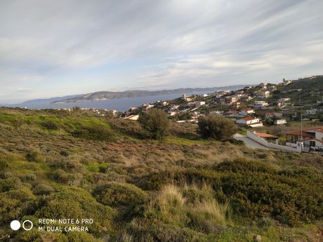 Αγροτεμάχια 3.745 τ.μ. για πώληση