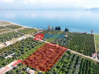 Αγροτεμάχια 3.853 τ.μ. για πώληση