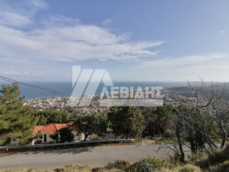 Οικόπεδο 2.670 τ.μ. για πώληση, Ν. Χίου, Χίος