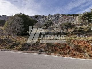 Οικόπεδο 2.670 τ.μ. για πώληση, Ν. Χίου, Χίος-thumb-2