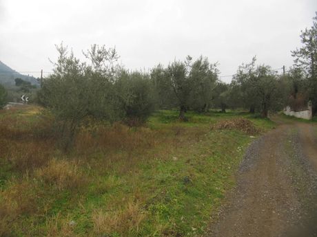 Parcel 2.089sqm for sale-Agios Konstantinos » Neochori