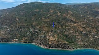 Αγροτεμάχια 3.423 τ.μ. για πώληση, Αρκαδία, Απόλλωνας-thumb-9