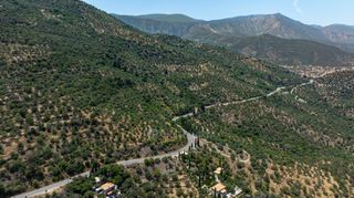 Αγροτεμάχια 3.423 τ.μ. για πώληση, Αρκαδία, Απόλλωνας-thumb-7