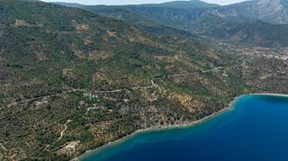 Αγροτεμάχια 3.423 τ.μ. για πώληση, Αρκαδία, Απόλλωνας-thumb-17