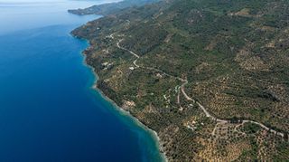 Αγροτεμάχια 3.423 τ.μ. για πώληση, Αρκαδία, Απόλλωνας-thumb-15