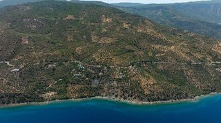 Αγροτεμάχια 3.423 τ.μ. για πώληση, Αρκαδία, Απόλλωνας-thumb-16
