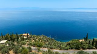 Αγροτεμάχια 1.702 τ.μ. για πώληση, Αρκαδία, Απόλλωνας-thumb-4