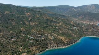 Αγροτεμάχια 2.012 τ.μ. για πώληση, Αρκαδία, Απόλλωνας-thumb-17