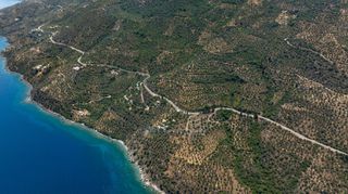 Αγροτεμάχια 2.012 τ.μ. για πώληση, Αρκαδία, Απόλλωνας-thumb-3