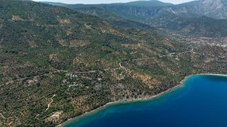 Αγροτεμάχια 2.012 τ.μ. για πώληση, Αρκαδία, Απόλλωνας-thumb-16