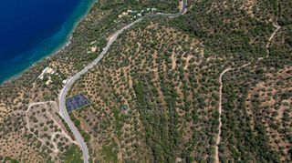 Αγροτεμάχια 2.012 τ.μ. για πώληση, Αρκαδία, Απόλλωνας-thumb-8