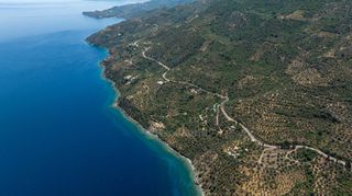 Αγροτεμάχια 2.012 τ.μ. για πώληση, Αρκαδία, Απόλλωνας-thumb-21