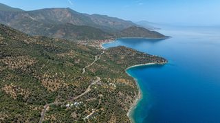 Αγροτεμάχια 2.479 τ.μ. για πώληση, Αρκαδία, Απόλλωνας-thumb-14