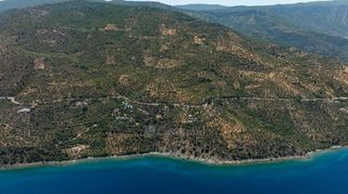 Αγροτεμάχια 2.479 τ.μ. για πώληση, Αρκαδία, Απόλλωνας-thumb-3