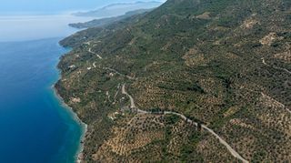 Αγροτεμάχια 2.479 τ.μ. για πώληση, Αρκαδία, Απόλλωνας-thumb-10