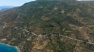 Αγροτεμάχια 2.479 τ.μ. για πώληση, Αρκαδία, Απόλλωνας-thumb-11