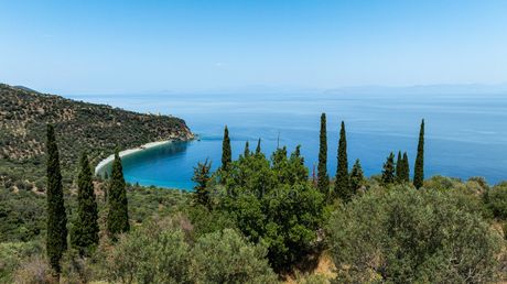 Parcel 2.479sqm for sale-Apollonas » Tiros