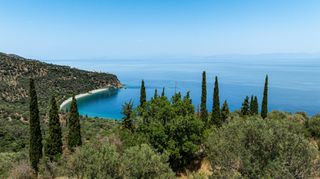 Αγροτεμάχια 2.479 τ.μ. για πώληση