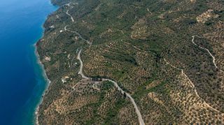 Αγροτεμάχια 2.479 τ.μ. για πώληση, Αρκαδία, Απόλλωνας-thumb-9