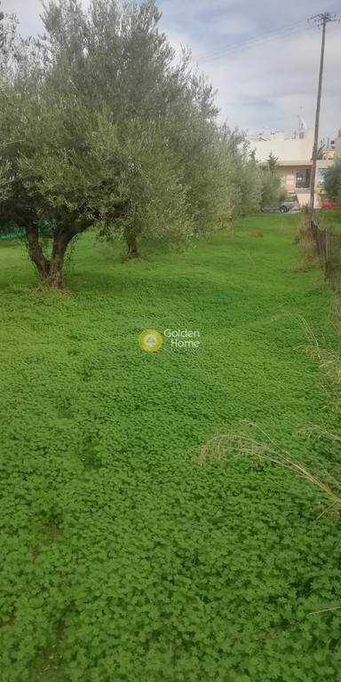 Οικόπεδο 539 τ.μ. προς πώληση, Βασιλείες