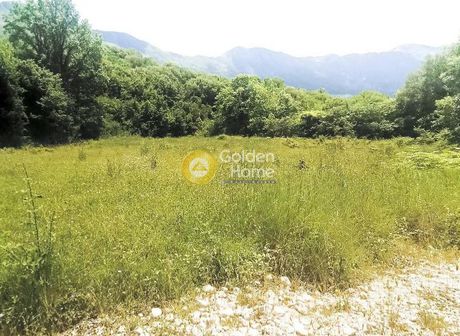 Parcel 5.000sqm for sale-Derviziana » Vadistra