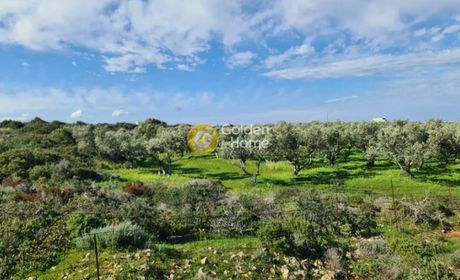Land plot 8.131sqm for sale-Akrotiri » Stavros