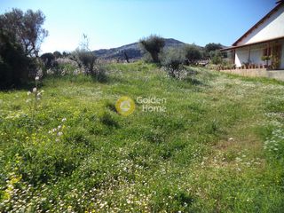 Οικόπεδο 949 τ.μ. για πώληση