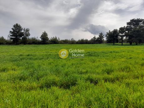 Land plot 6.900sqm for sale-Agios Stefanos » Kapitenia