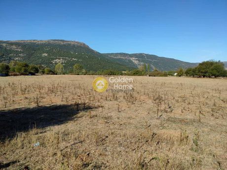 Land plot 24.000sqm for sale-Ioannina » Neo Sirako