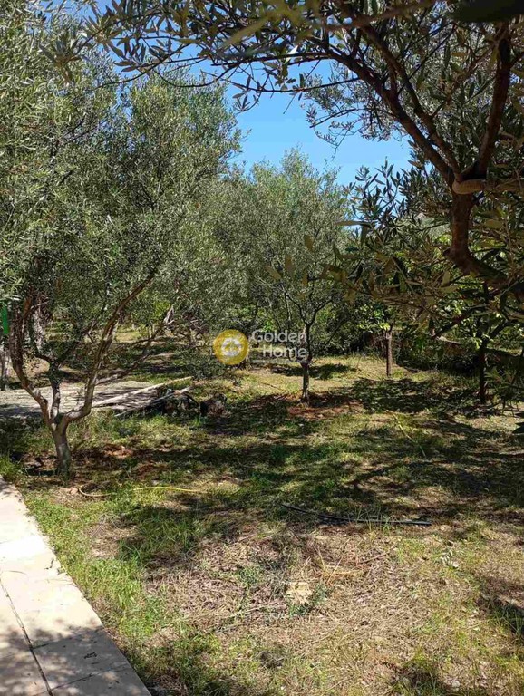 Μονοκατοικία 96 τ.μ. προς πώληση, Λιμνιώνας Καλάμου