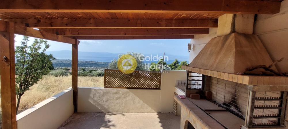 Αγροτεμάχια 2.000 τ.μ. προς πώληση, Άγιοι Ασώματοι Ερέτριας