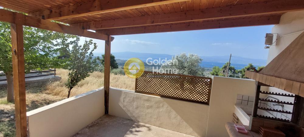 Αγροτεμάχια 2.000 τ.μ. προς πώληση, Άγιοι Ασώματοι Ερέτριας