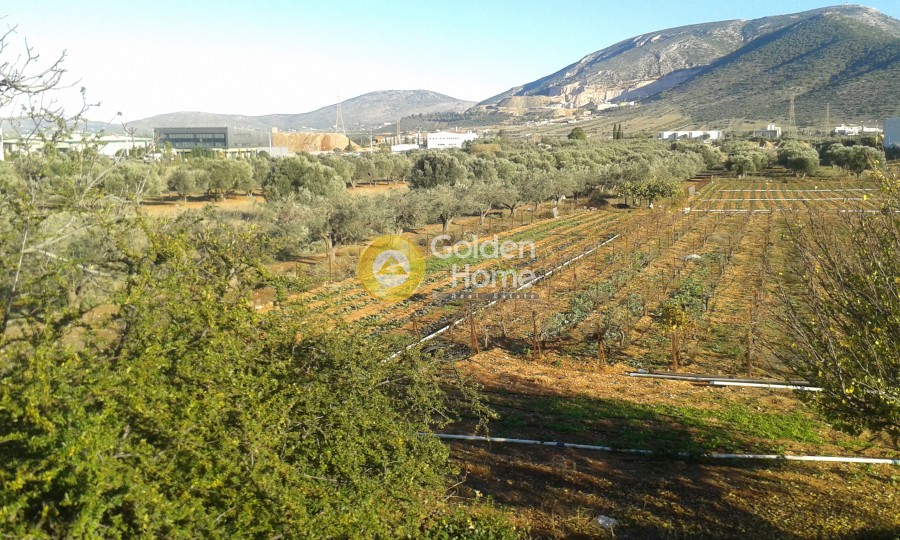 Μονοκατοικία 135 τ.μ. προς πώληση, Αγία Τριάδα Μαρκοπούλου