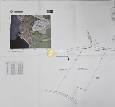 Αγροτεμάχια 9.170τ.μ. για πώληση-Κάρυστος » Μπούρος