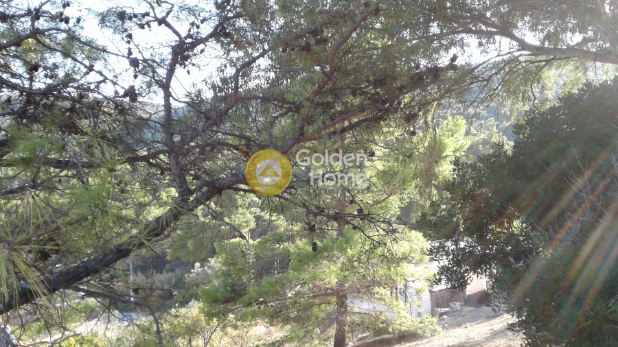 Αγροτεμάχια 1.000 τ.μ. πρός πώληση, Αιτωλοακαρνανία, Ίναχος