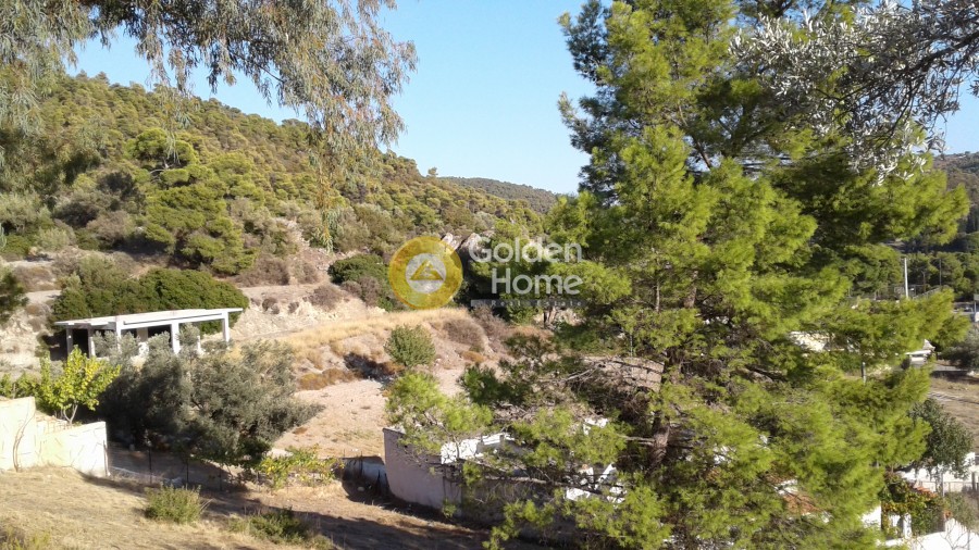 Αγροτεμάχια 1.000 τ.μ. πρός πώληση, Αιτωλοακαρνανία, Ίναχος