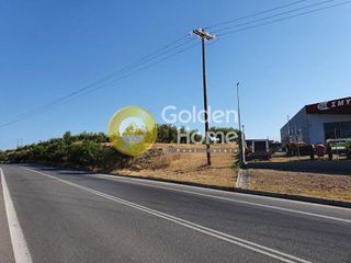 Οικόπεδο 3.650 τ.μ. για πώληση