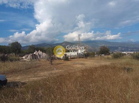Land plot 4.300sqm for sale-Nea Ionia Volou » Melissatika