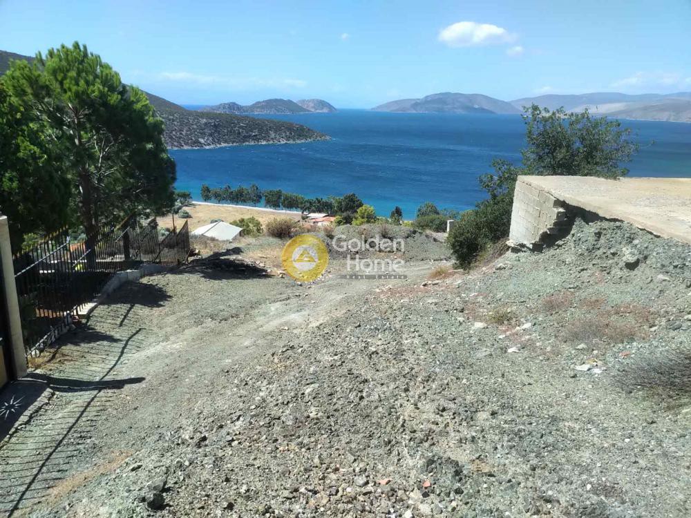 Αγροτεμάχια 800 τ.μ. προς πώληση, Αλυκή Θίσβης