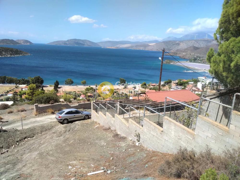 Αγροτεμάχια 800 τ.μ. προς πώληση, Αλυκή Θίσβης