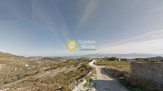 Αγροτεμάχια 6.466 τ.μ. για πώληση