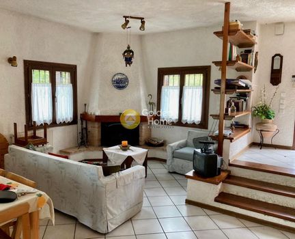 Detached home 155sqm for sale-Malesina » Theologos