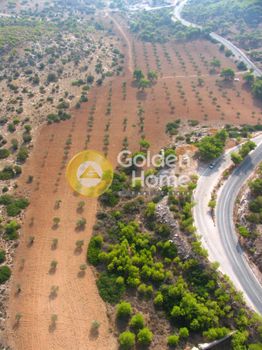 Parcel 20.000sqm for sale-Kalivia Thorikou » Κέντρο