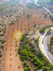 Αγροτεμάχια 20.000 τ.μ. για πώληση