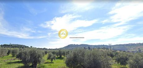 Land plot 8.250sqm for sale-Ermioni » Agioi Anargiroi