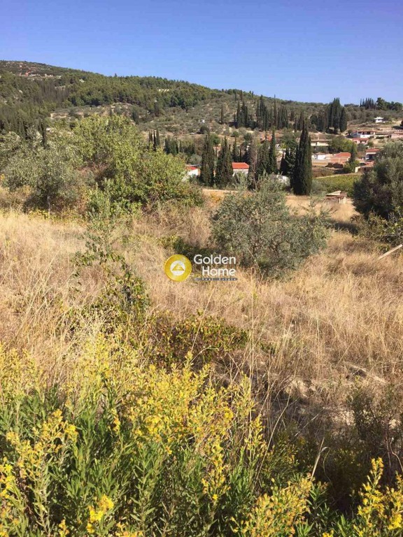 Οικόπεδο 3.323 τ.μ. προς πώληση, Κουτσομόδι